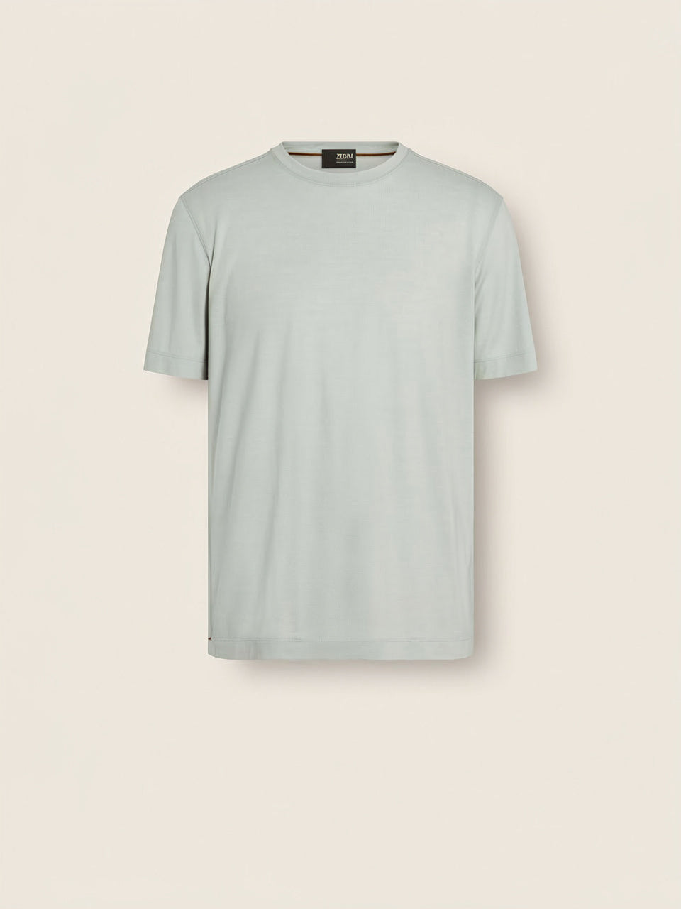 Light Sage Green V.A. T-shirt