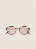 Dark Brown Titanium Sunglasses